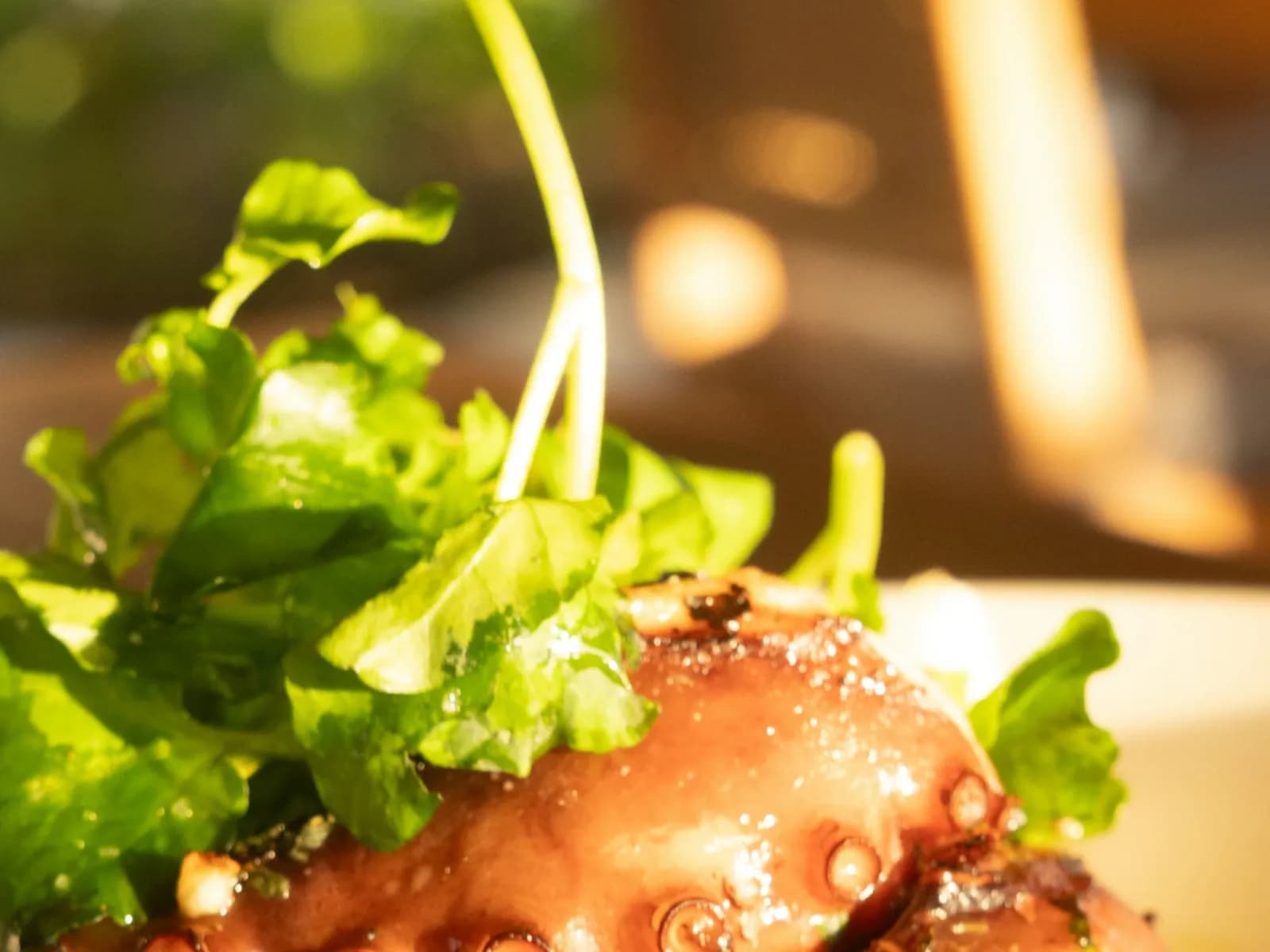 Numkin cooked octopus